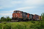 CN 4806 leads 559 at Dionne Road